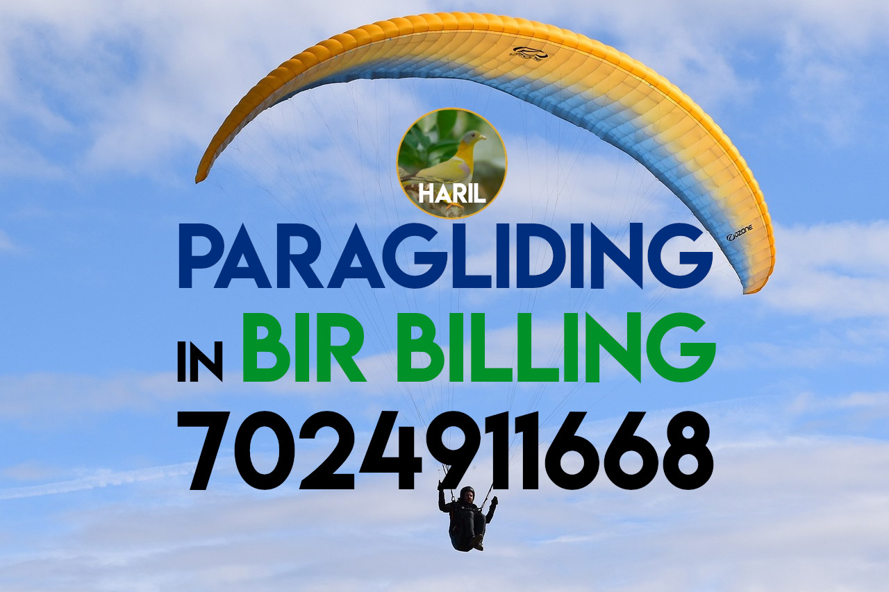 Paragliding in Bir Billing